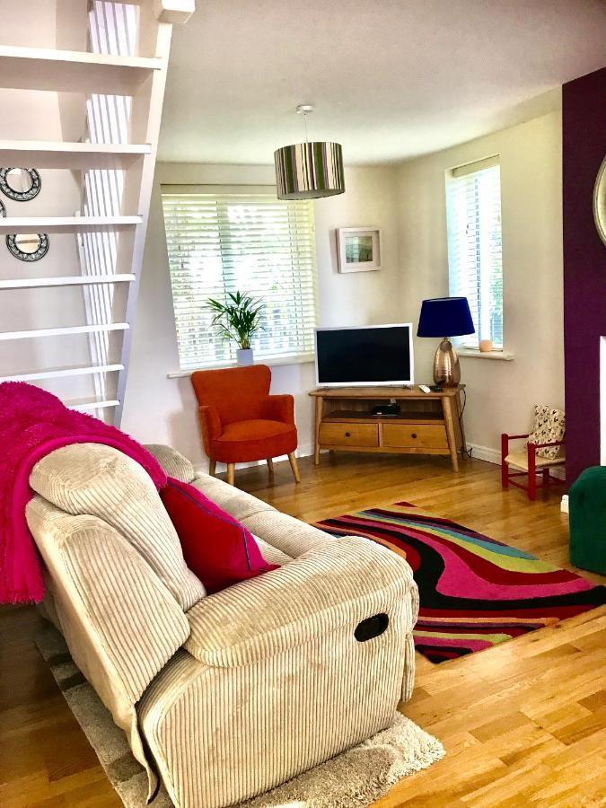 Red Deer Cosy Apartment In Letterfrack Connemara Ngoại thất bức ảnh