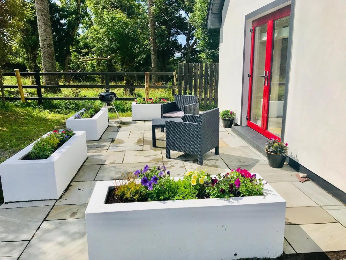 Red Deer Cosy Apartment In Letterfrack Connemara Ngoại thất bức ảnh
